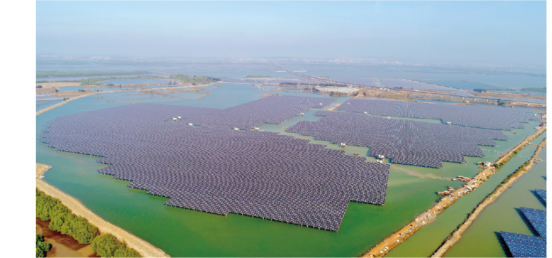 湛江東海島漁光一體100兆瓦光伏項(xiàng)目